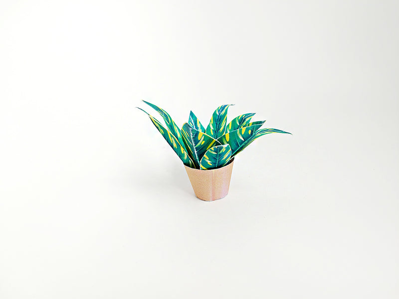 Miniature potted plant with green and yellow leaves in a light brown pot.