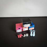 Miniature black, pink, orange, and blue shoe boxes with tiny shoes.